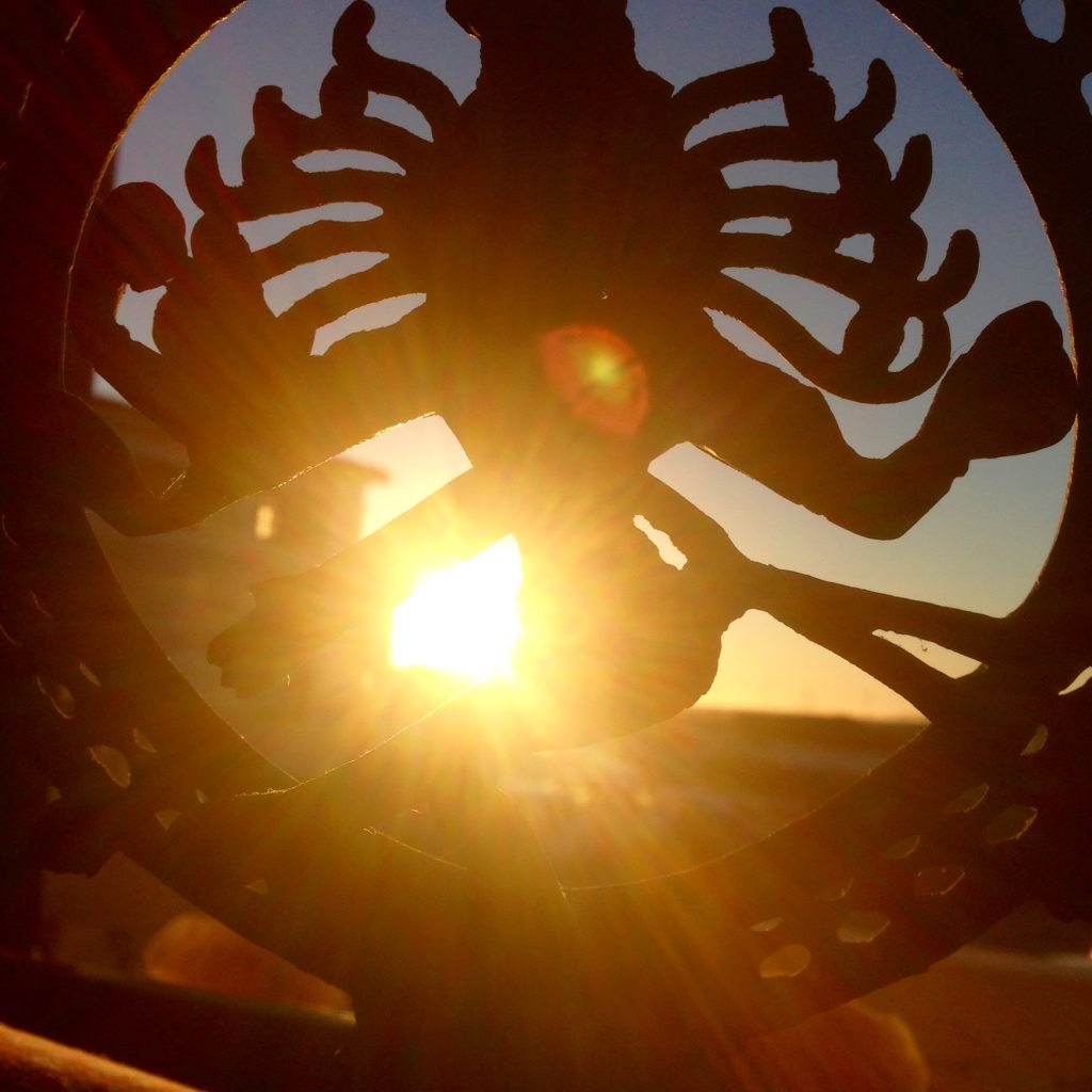 Johann Kotze Yoga Studio Cape Town